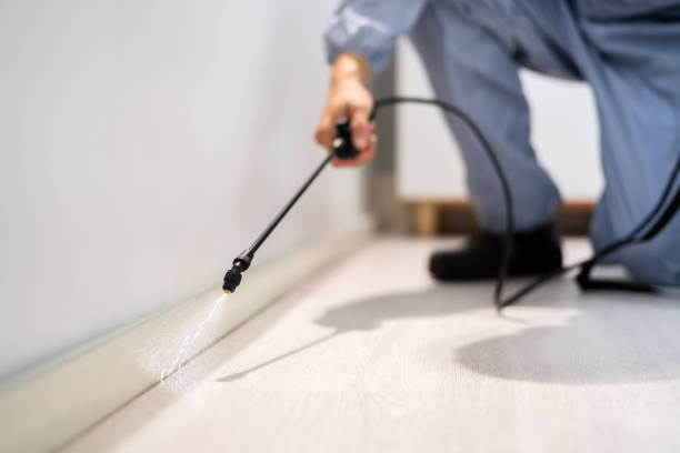 Bed Bug Pre-Treatment Preparation Assessment in Temple