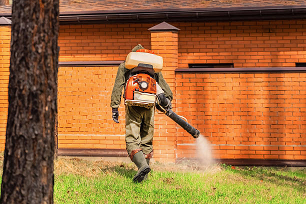 Bed Bug Clearance Verification and Documentation in Temple
